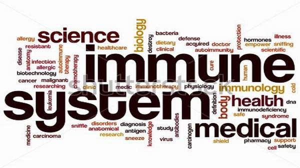 picture of immune system