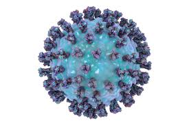 Parainluenza Virus